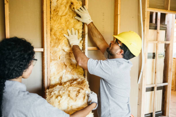 Best Insulation Inspection Services  in King, WI